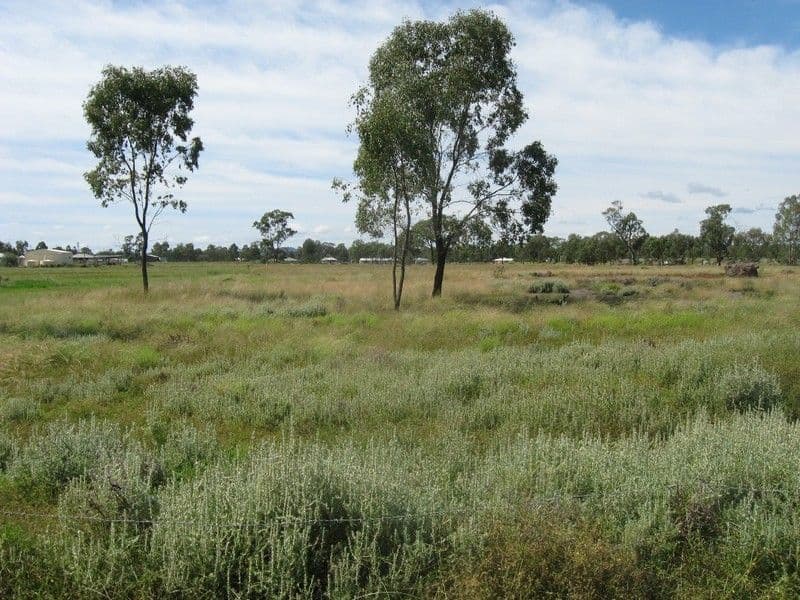 Lot 36 Ramsay Street, OAKEY QLD 4401, Oakey - Image 1