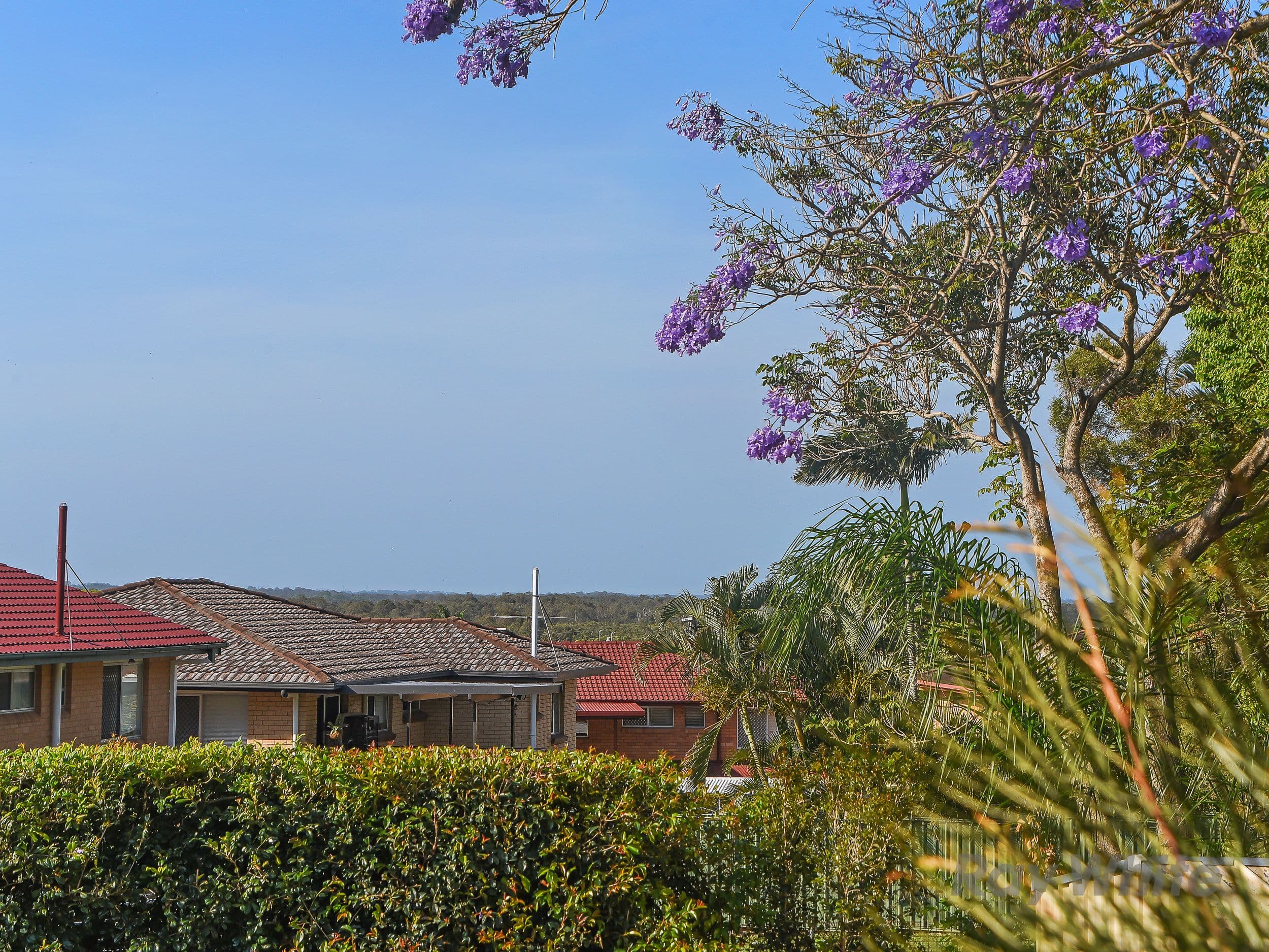 17 Warrachie Street, Bracken Ridge QLD 4017, Bracken Ridge - Thumbnail 3