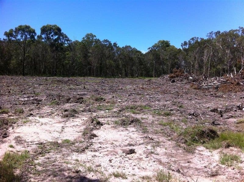 259 Doolong Road, WONDUNNA QLD 4655, Wondunna - Image 1