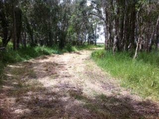 259 Doolong Road, WONDUNNA QLD 4655, Wondunna - Thumbnail 2
