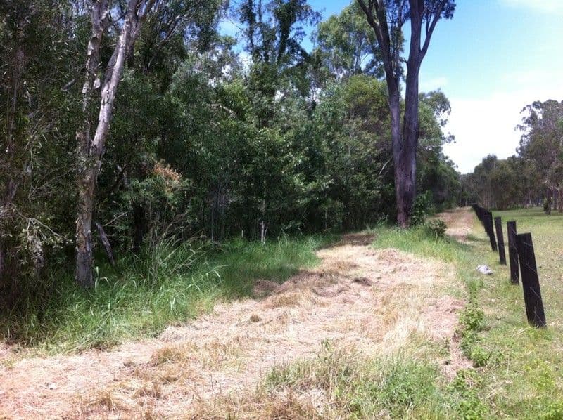 259 Doolong Road, WONDUNNA QLD 4655, Wondunna - Thumbnail 3