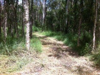 259 Doolong Road, WONDUNNA QLD 4655, Wondunna - Thumbnail 4