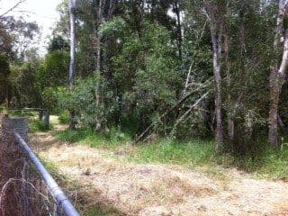 259 Doolong Road, WONDUNNA QLD 4655, Wondunna - Thumbnail 5