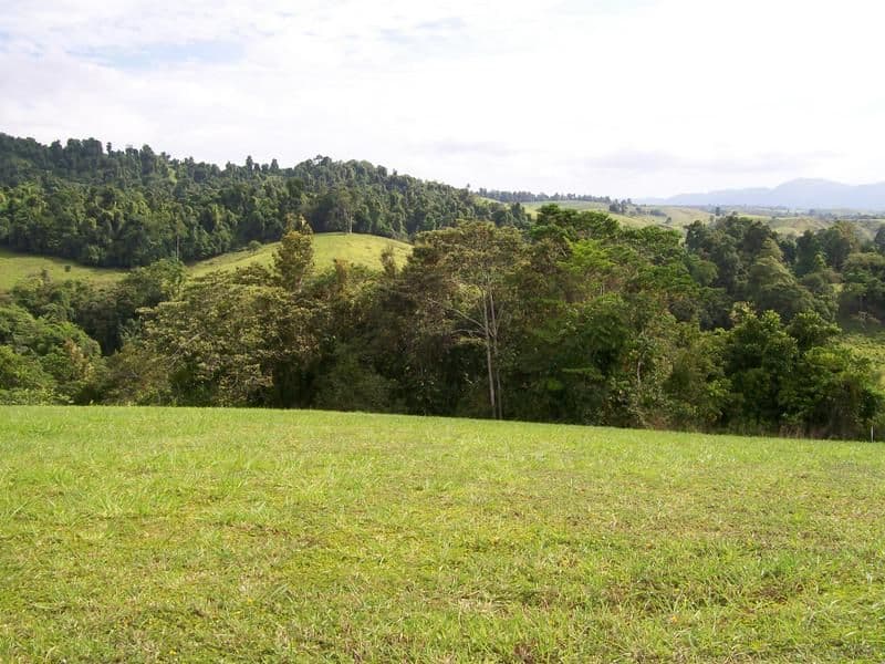Lot 6 Rainforest Falls Road, Coorumba QLD 4860, Coorumba - Thumbnail 3