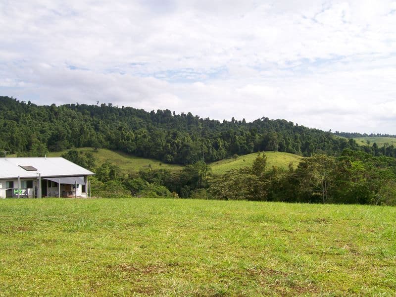 Lot 6 Rainforest Falls Road, Coorumba QLD 4860, Coorumba - Thumbnail 5