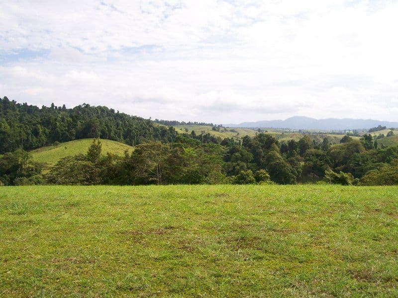 Lot 6 Rainforest Falls Road, Coorumba QLD 4860, Coorumba - Thumbnail 6