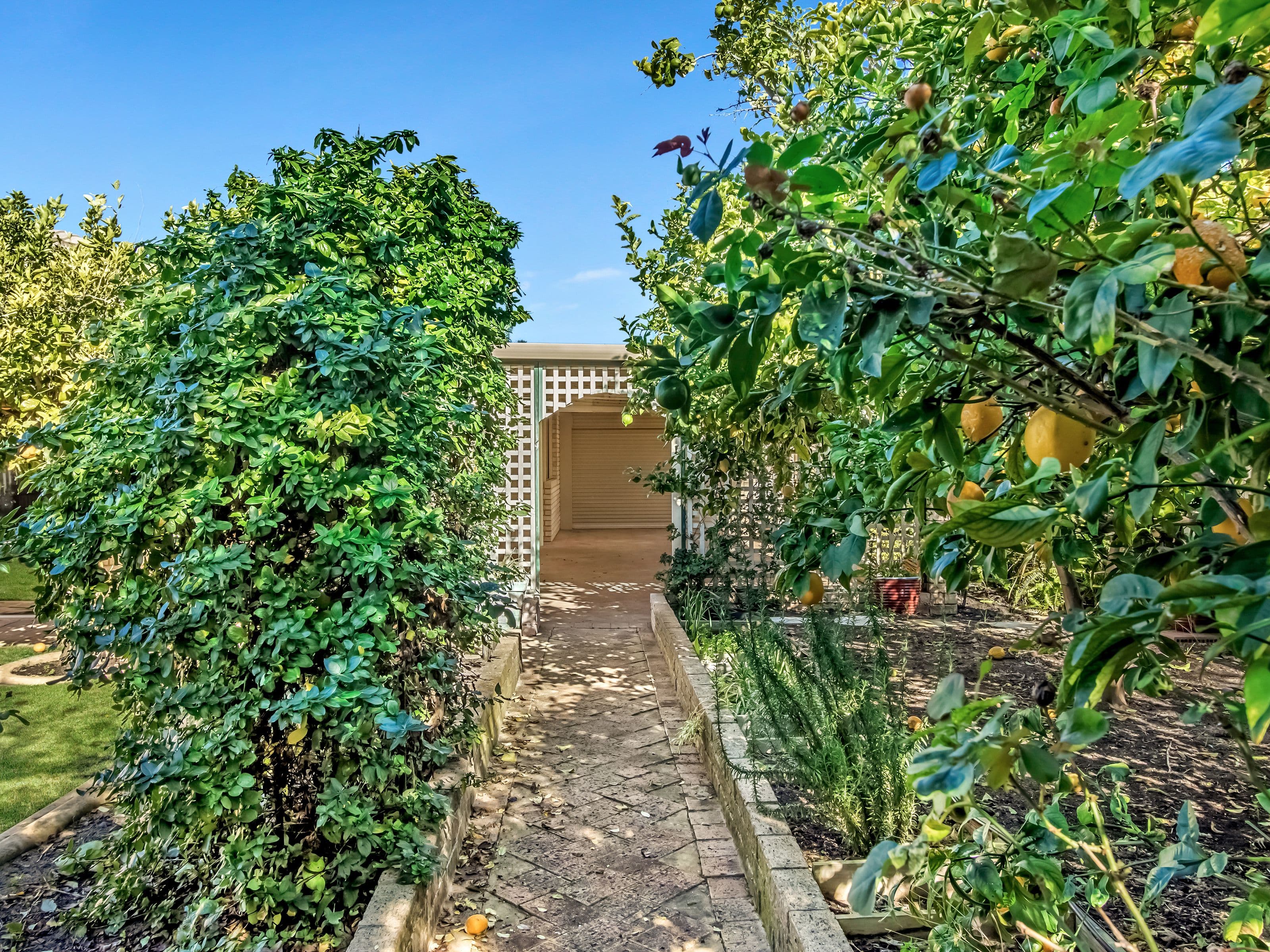 65 Triton Avenue, Waikiki WA 6169, Waikiki - Thumbnail 4