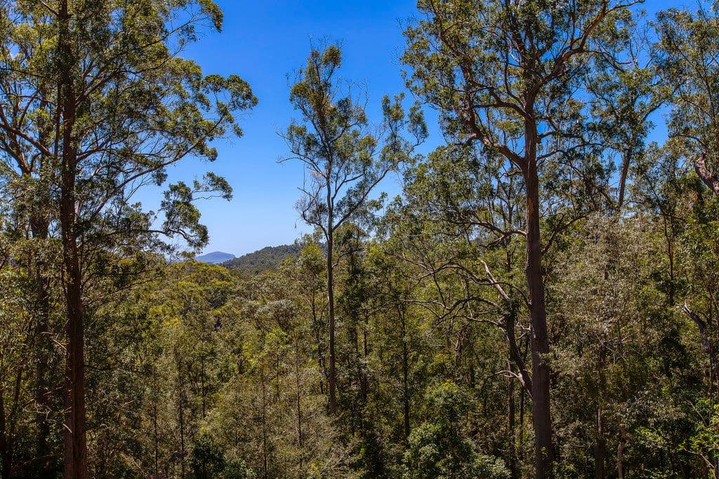 127-131 Vise Road, MONS QLD 4556, Mons - Thumbnail 3