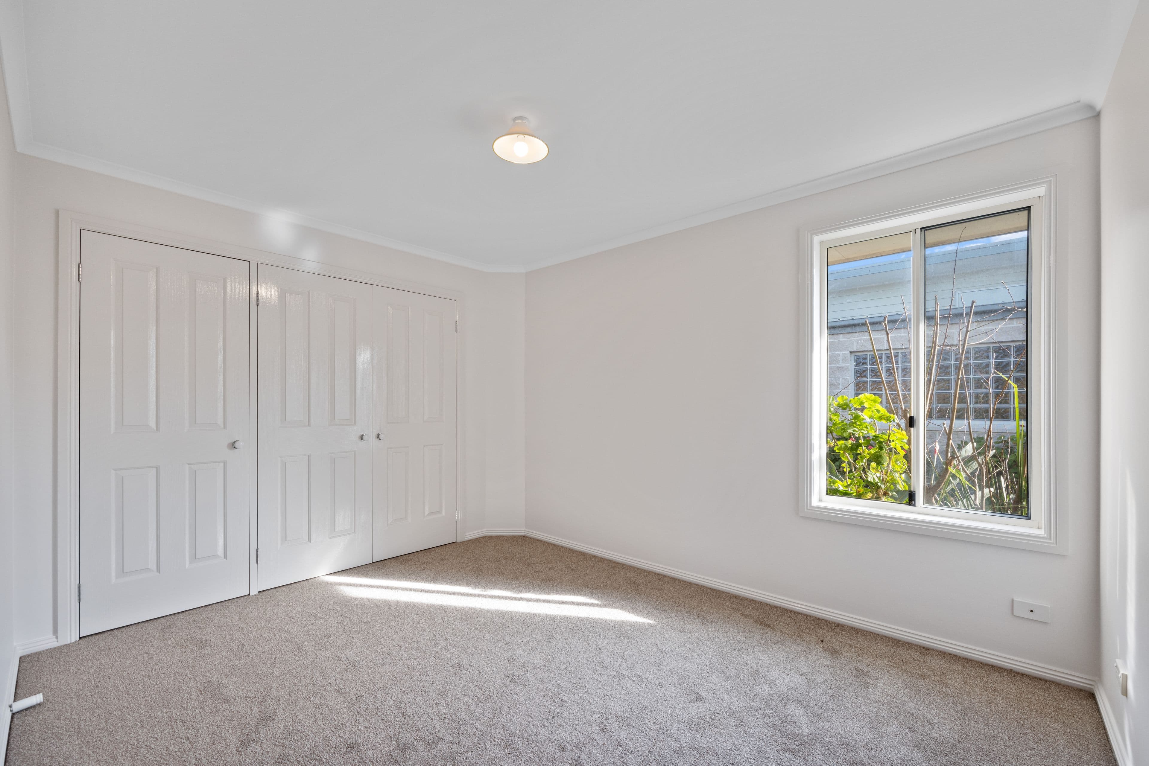 50 Korumburra Road, Wonthaggi VIC 3995, Wonthaggi - Thumbnail 7