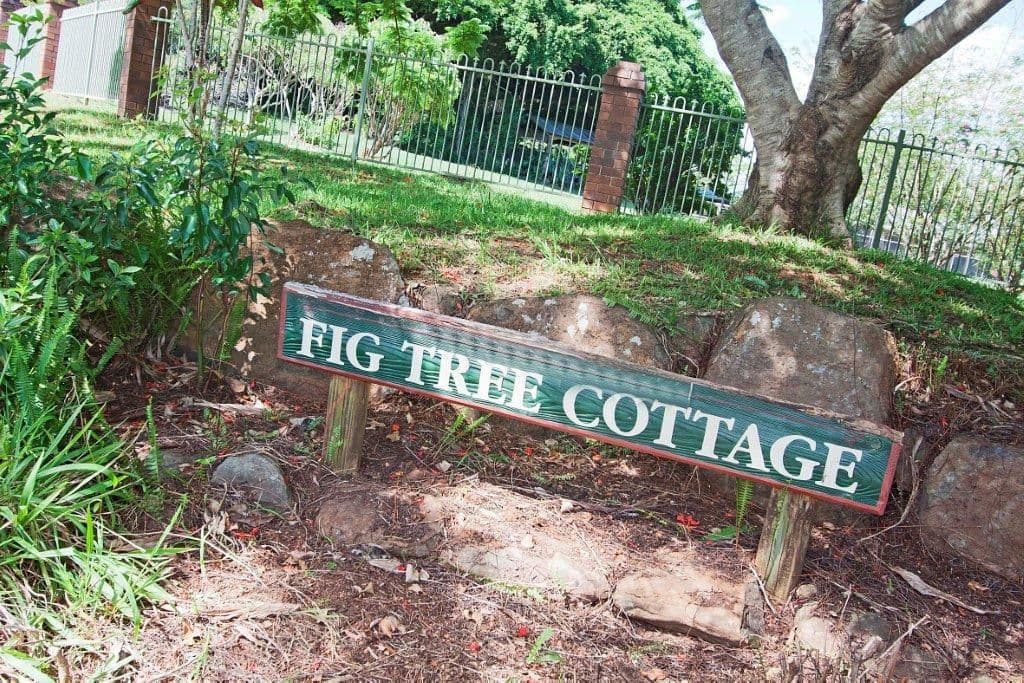 11 Fig Tree Road, TERRANORA NSW 2486, Terranora - Thumbnail 6