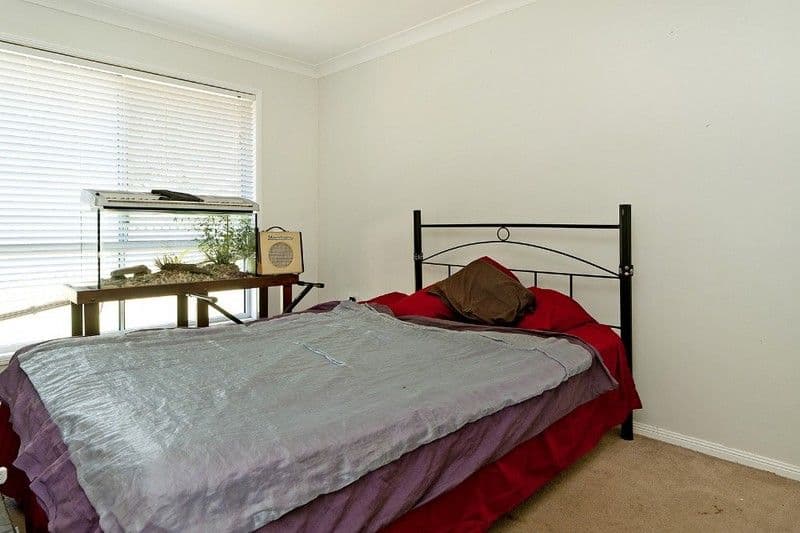 18 Winslow Court, OXENFORD QLD 4210, Oxenford - Thumbnail 7