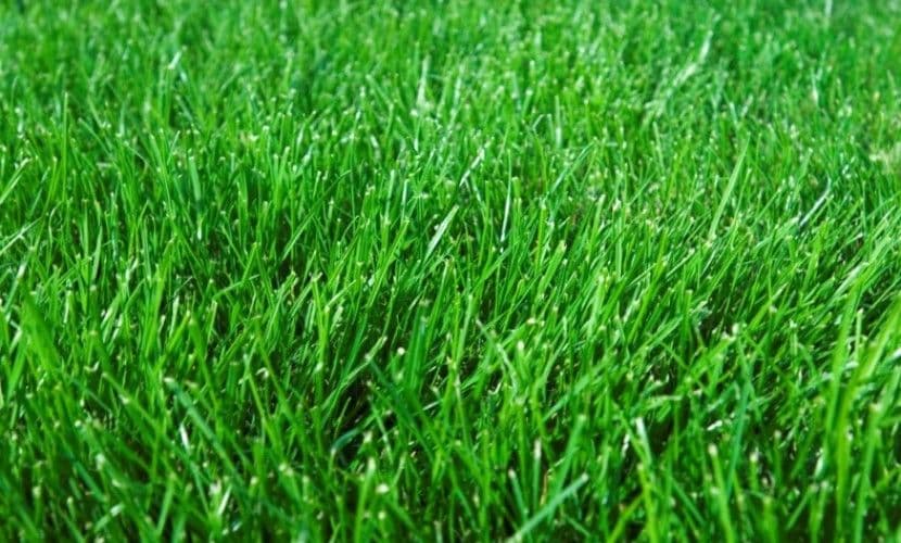 Lot 833 Gracilis Rise, South Nowra NSW 2541, South Nowra - Thumbnail 2