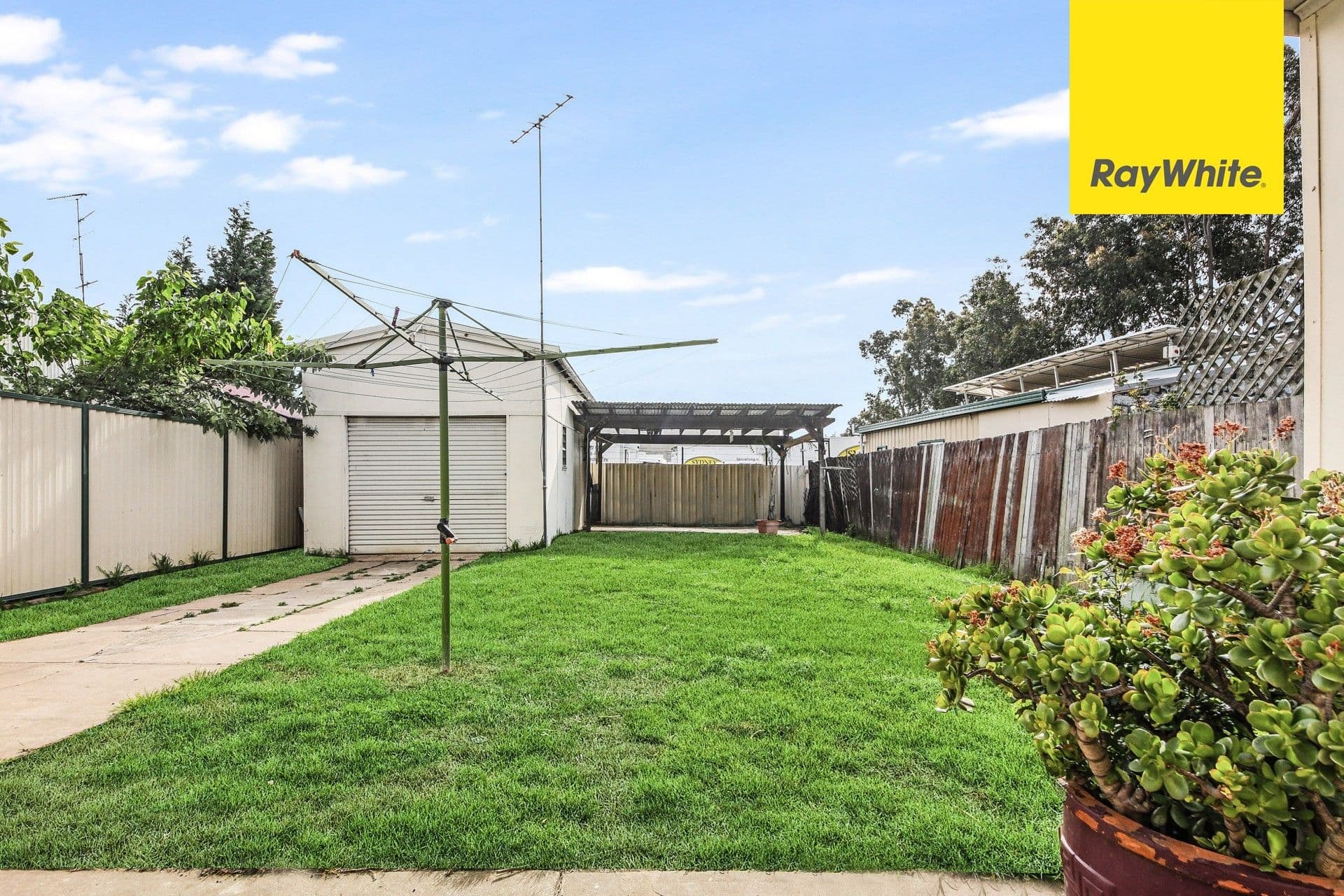 21 Belgium Street, Riverwood NSW 2210, Riverwood - Thumbnail 6