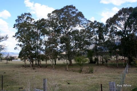 14 Naughton Lane, ARALUEN NSW 2622, Araluen - Thumbnail 7