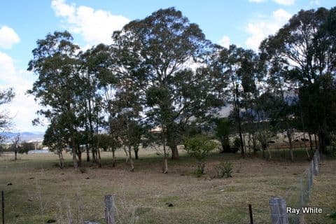 14 Naughton Lane, ARALUEN NSW 2622, Araluen - Thumbnail 8