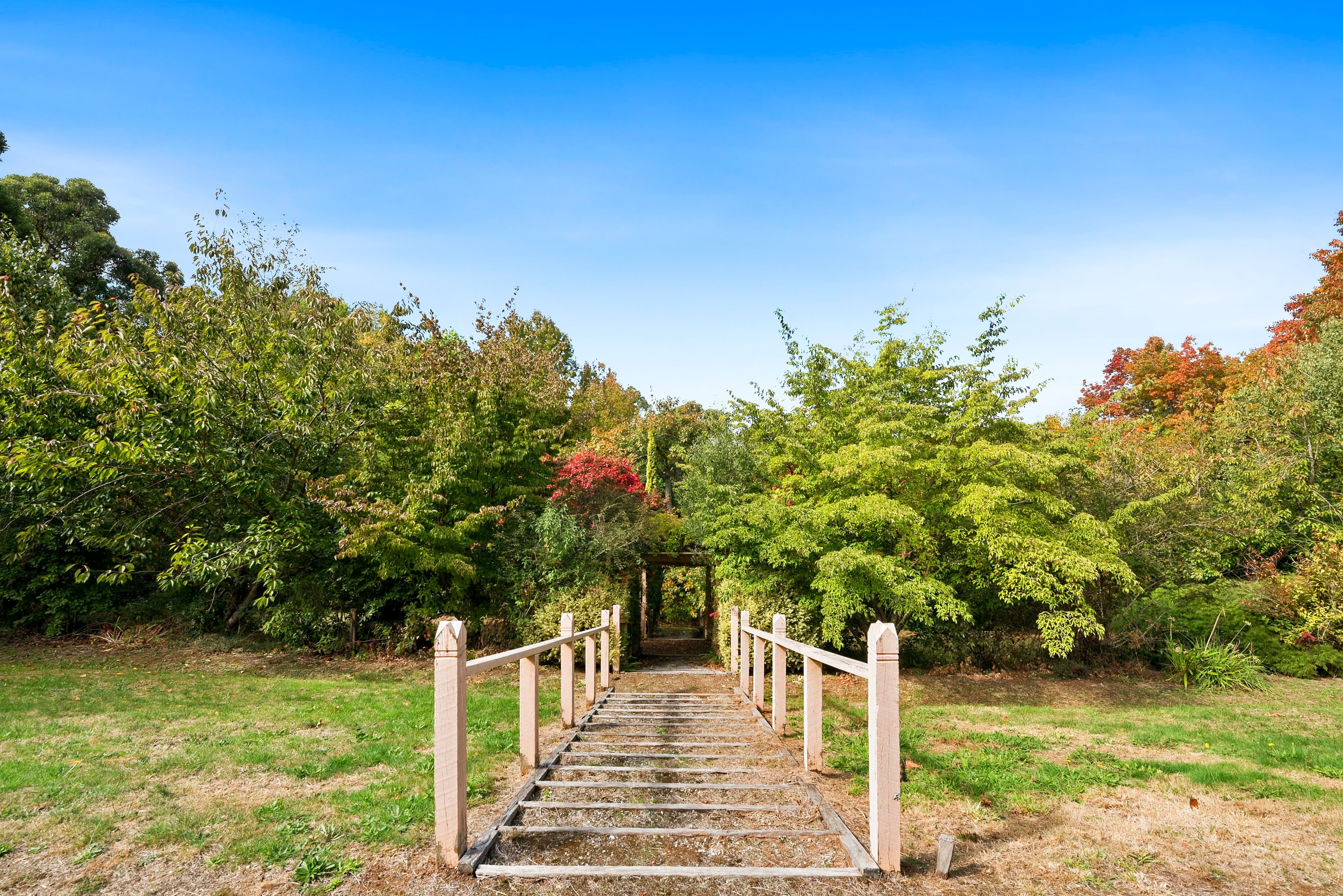 170 Olinda-Monbulk Road, Olinda VIC 3788, Olinda - Thumbnail 8