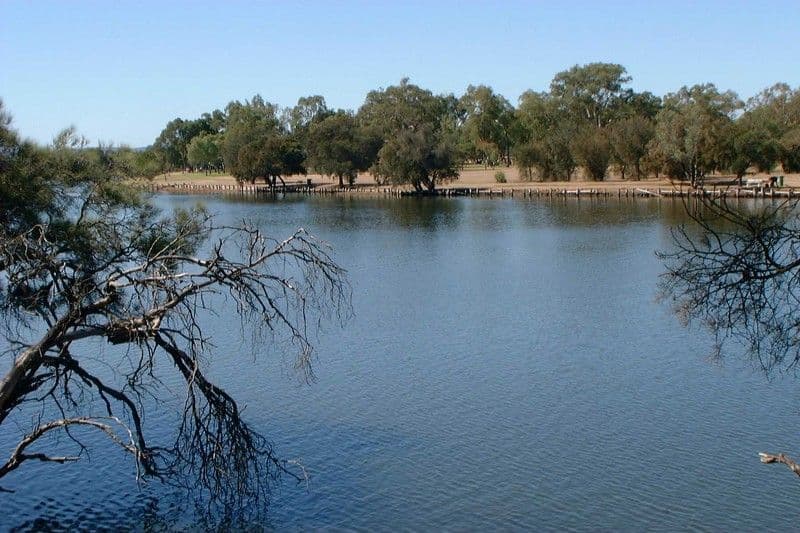 11 Paddington Street, Bayswater WA 6053, Bayswater - Thumbnail 7