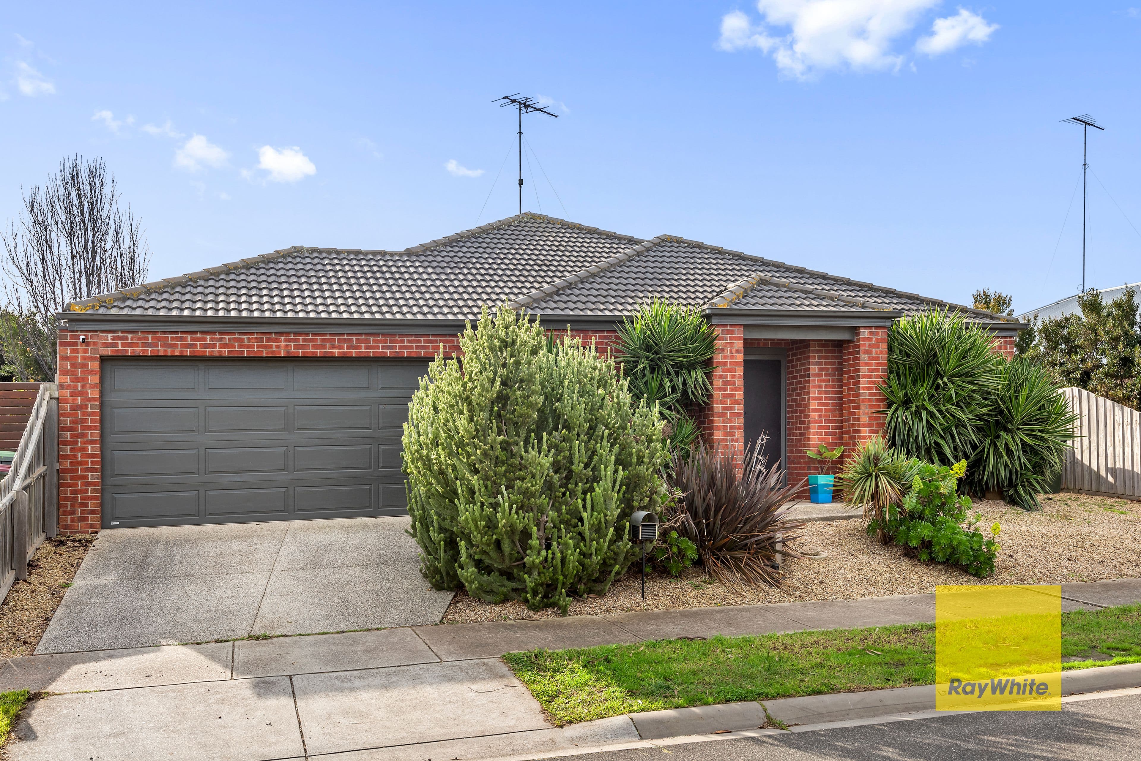 10 Adair Court, Marshall VIC 3216, Marshall - Thumbnail 2