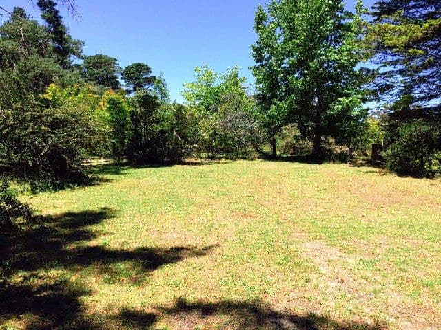  177 Hat Hill Road, Blackheath NSW 2785, Blackheath - Image 1