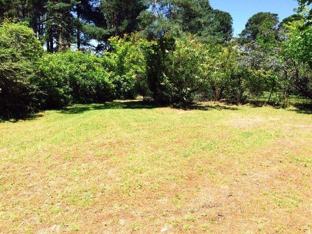  177 Hat Hill Road, Blackheath NSW 2785, Blackheath - Thumbnail 2