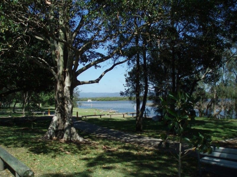 52 Iando Street, COOMBABAH QLD 4216, Coombabah - Thumbnail 5