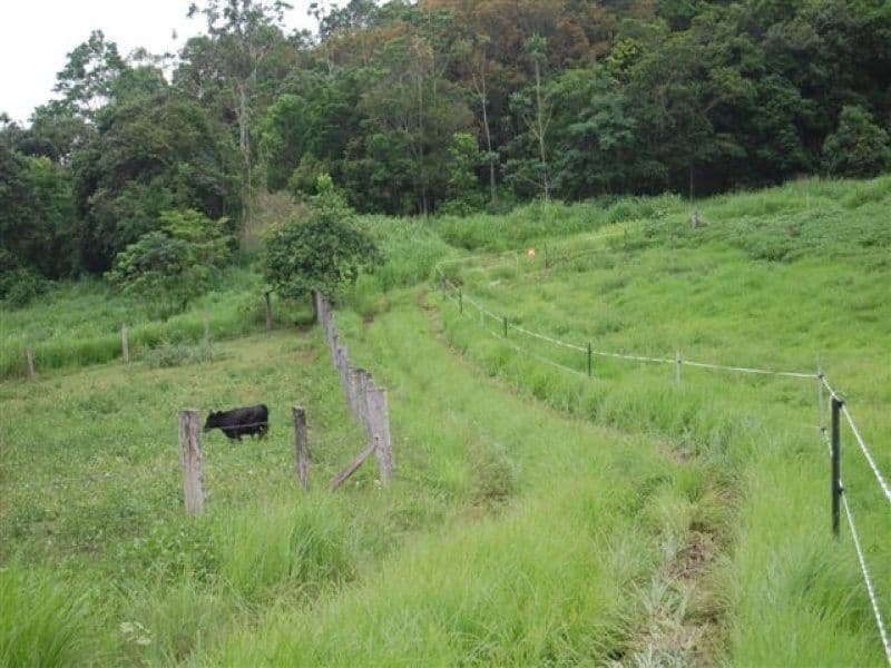 Lot 6 Holloway Drive, SUGARLOAF QLD 4800, Sugarloaf - Image 1