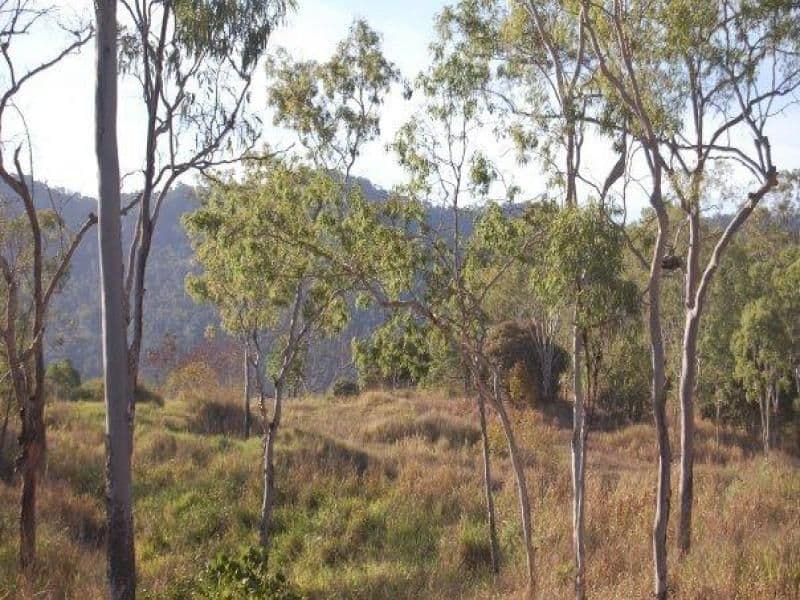 Lot 6 Holloway Drive, SUGARLOAF QLD 4800, Sugarloaf - Thumbnail 2