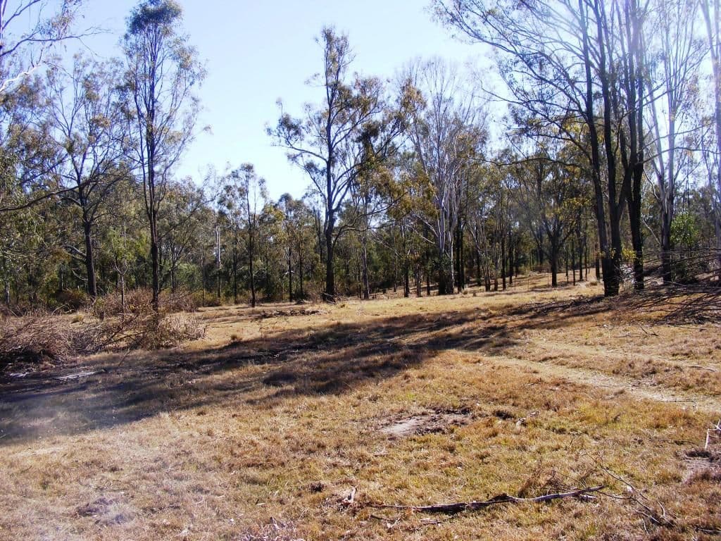 Lot 1 Noora Road, YARRAMAN QLD 4614, Yarraman - Thumbnail 4