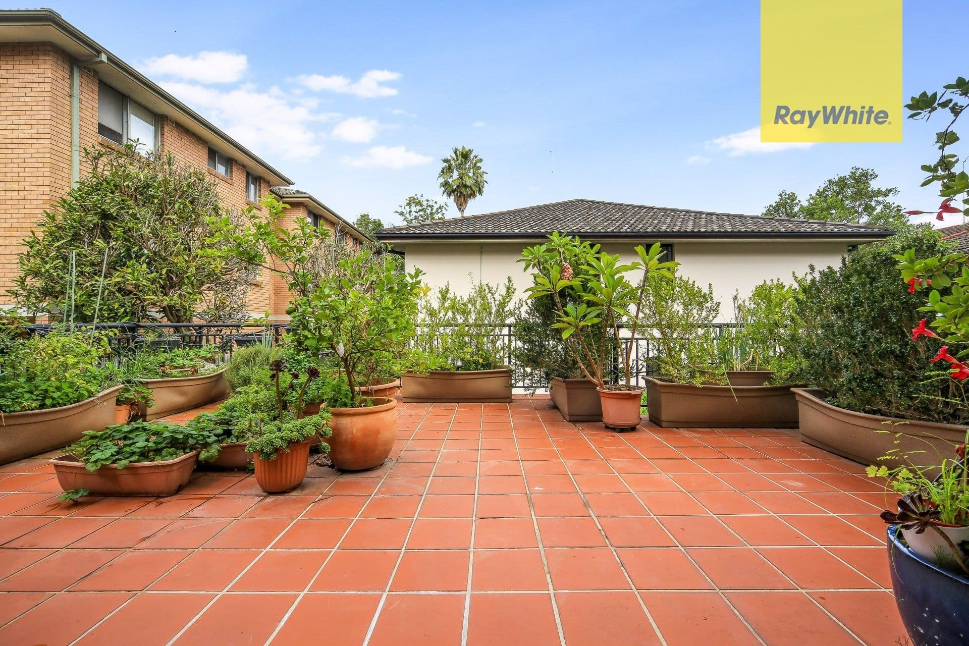 116 O'Connell Street, North Parramatta NSW 2151, North Parramatta - Thumbnail 7