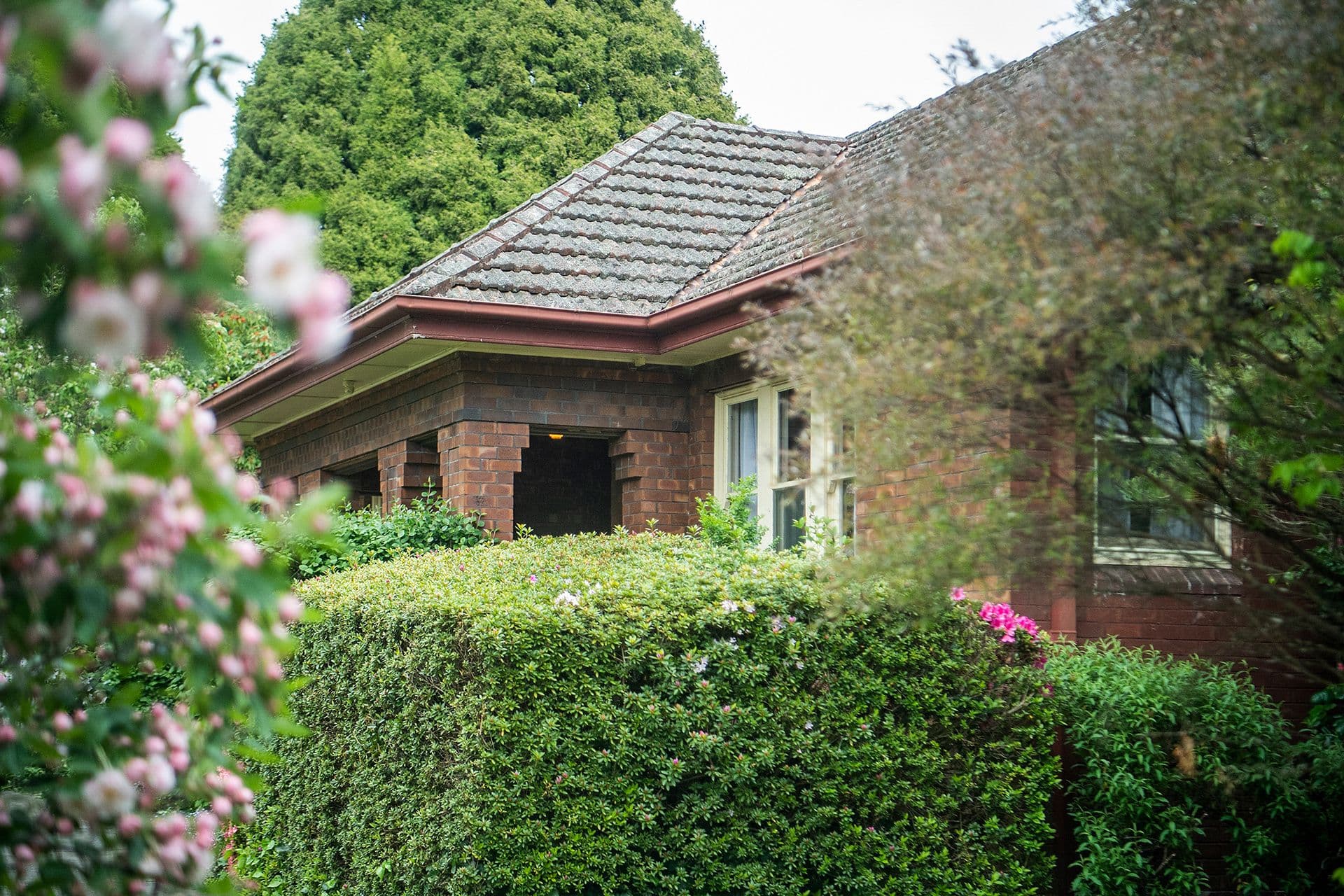 57 Arthur Street, Moss Vale NSW 2577, Moss Vale - Thumbnail 3