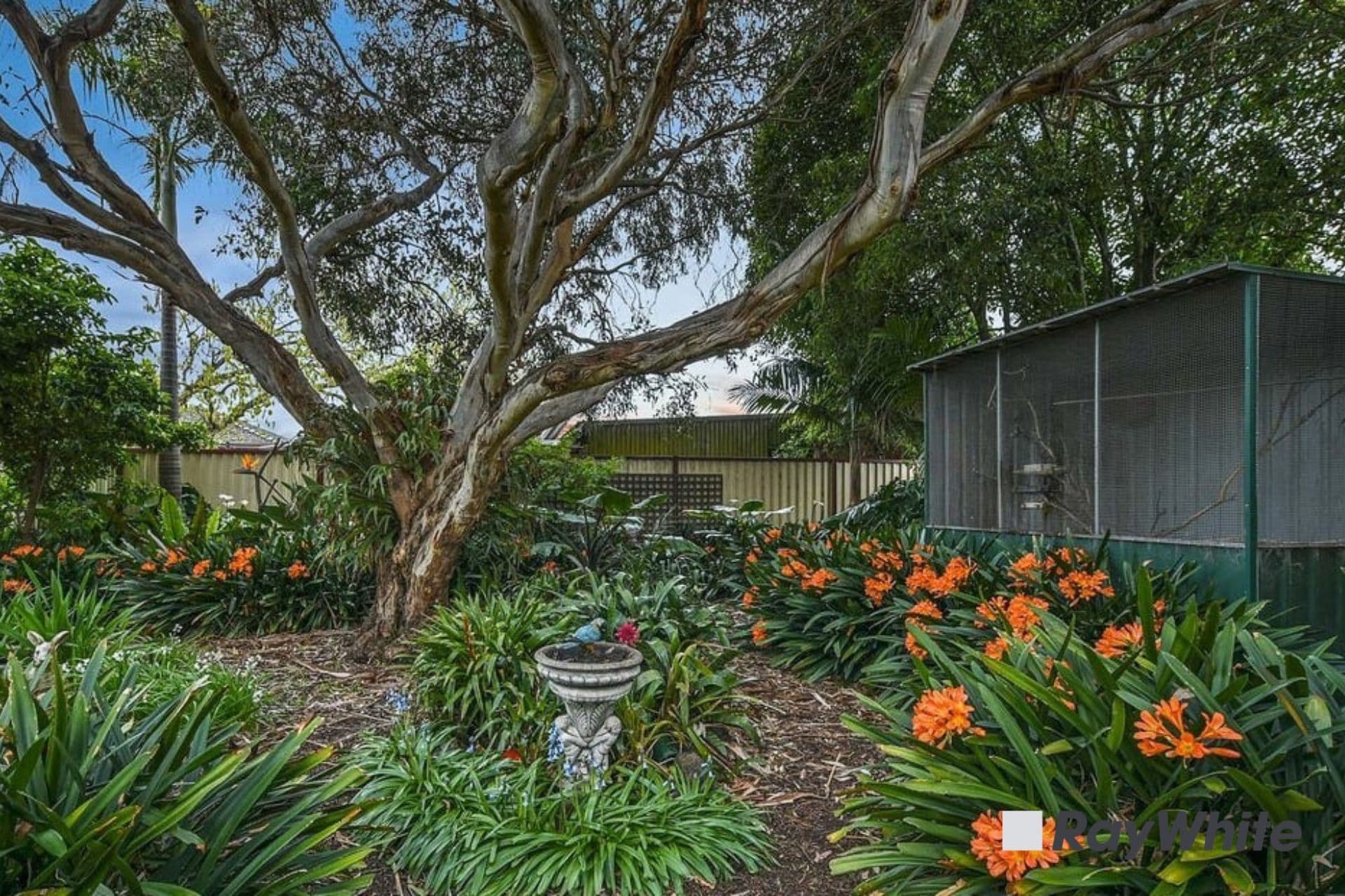 23 Francis Street, Dandenong VIC 3175, Dandenong - Thumbnail 3