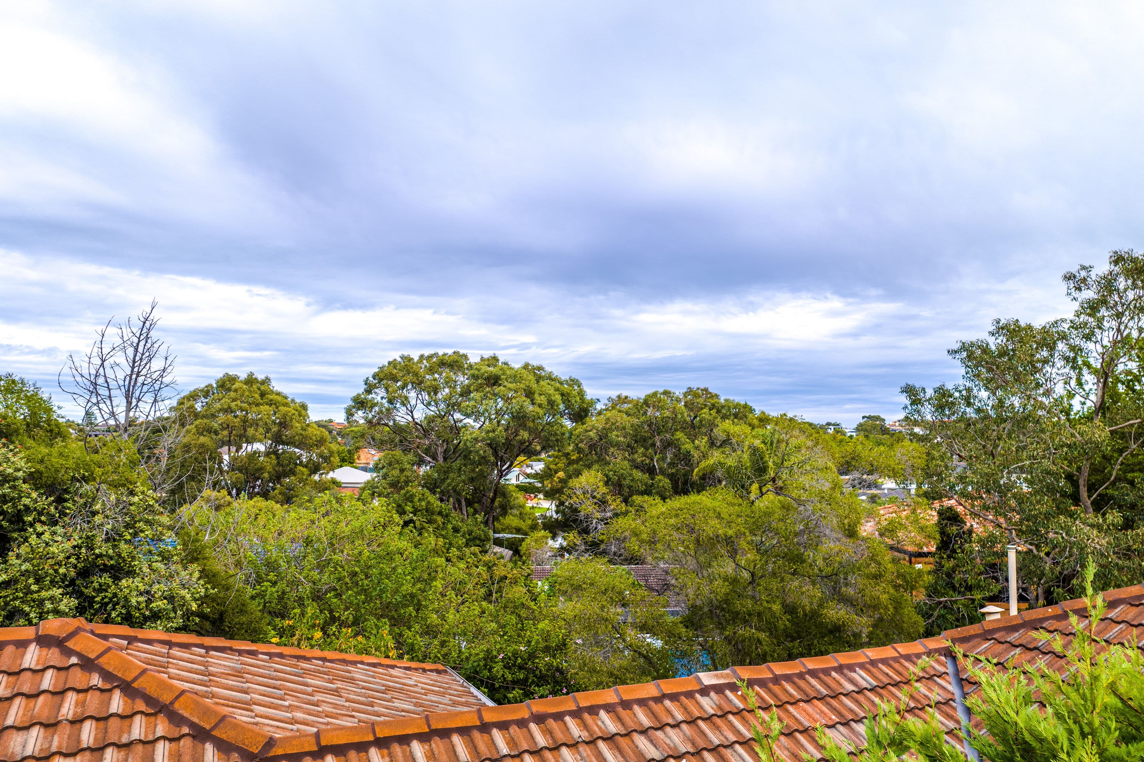 5 Fell Place, Wembley Downs WA 6019, Wembley Downs - Thumbnail 6