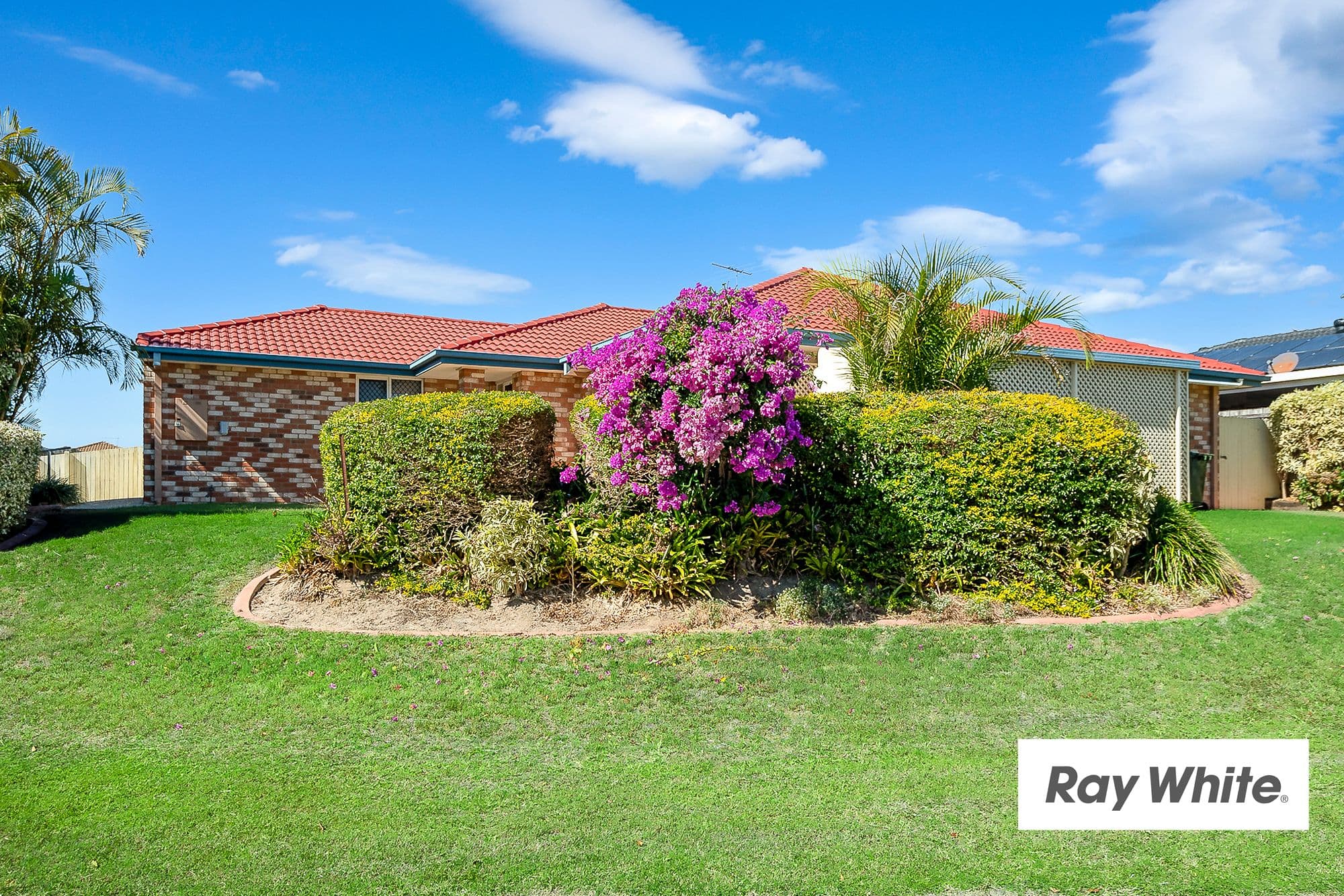 35 Currawong Street, Doolandella QLD 4077, Doolandella - Thumbnail 3
