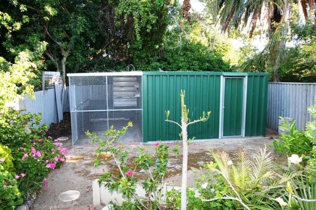 4 Alsace Street, CARINE WA 6020, Carine - Thumbnail 6