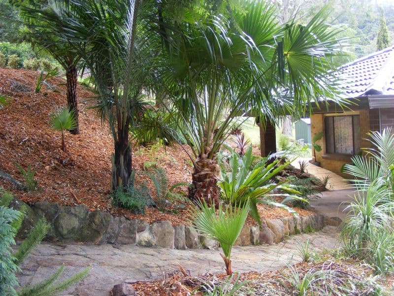60 Morandoo Avenue, MOUNT KEIRA NSW 2500, Mount Keira - Thumbnail 2