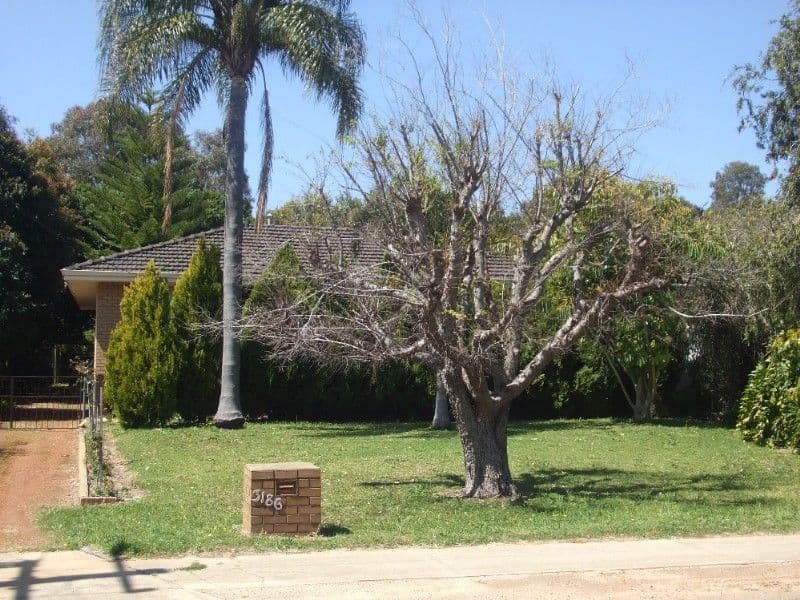 3186 Albany Highway, MOUNT NASURA WA 6112, Mount Nasura - Thumbnail 3