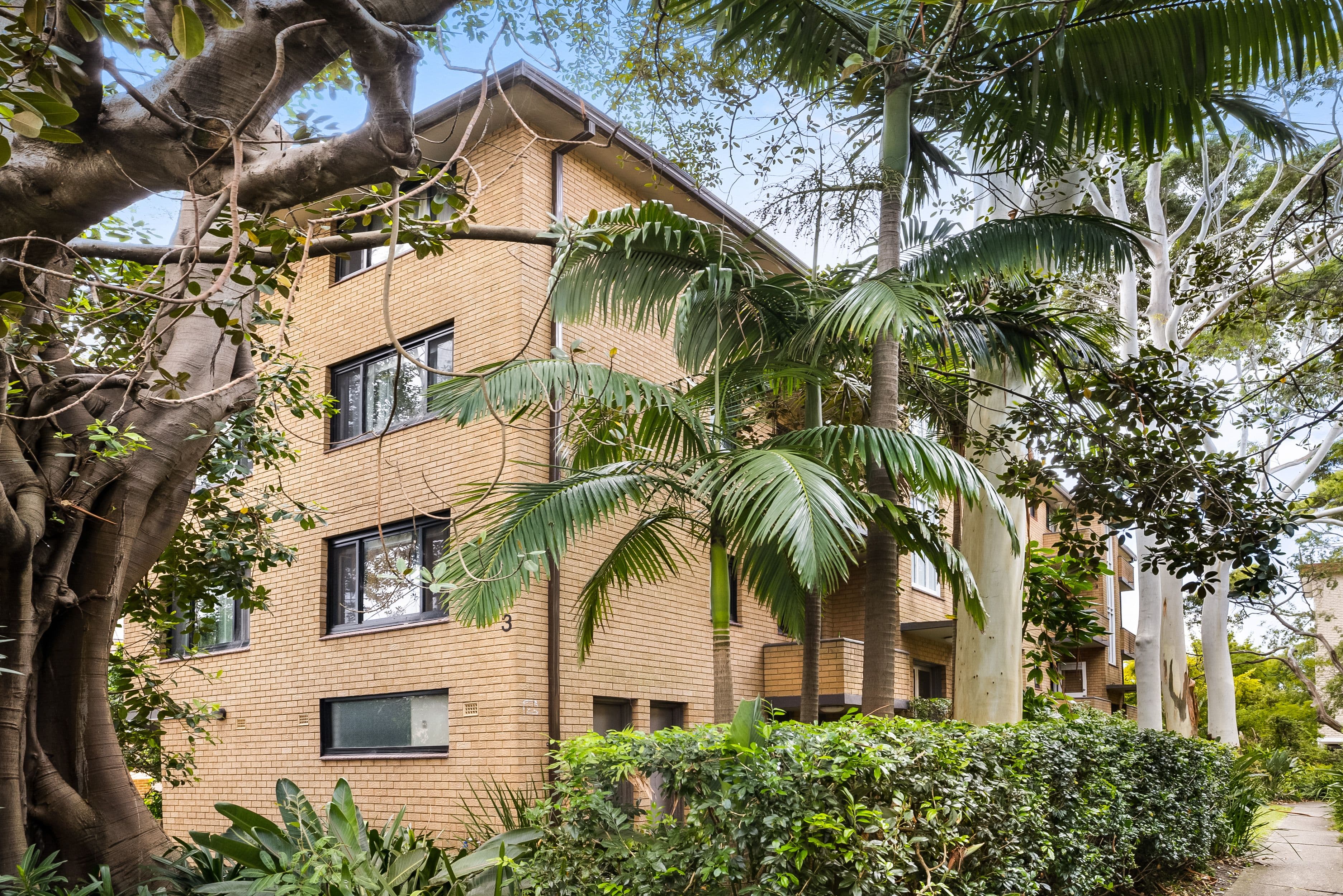3 Byron Street, Coogee NSW 2034, Coogee - Thumbnail 7