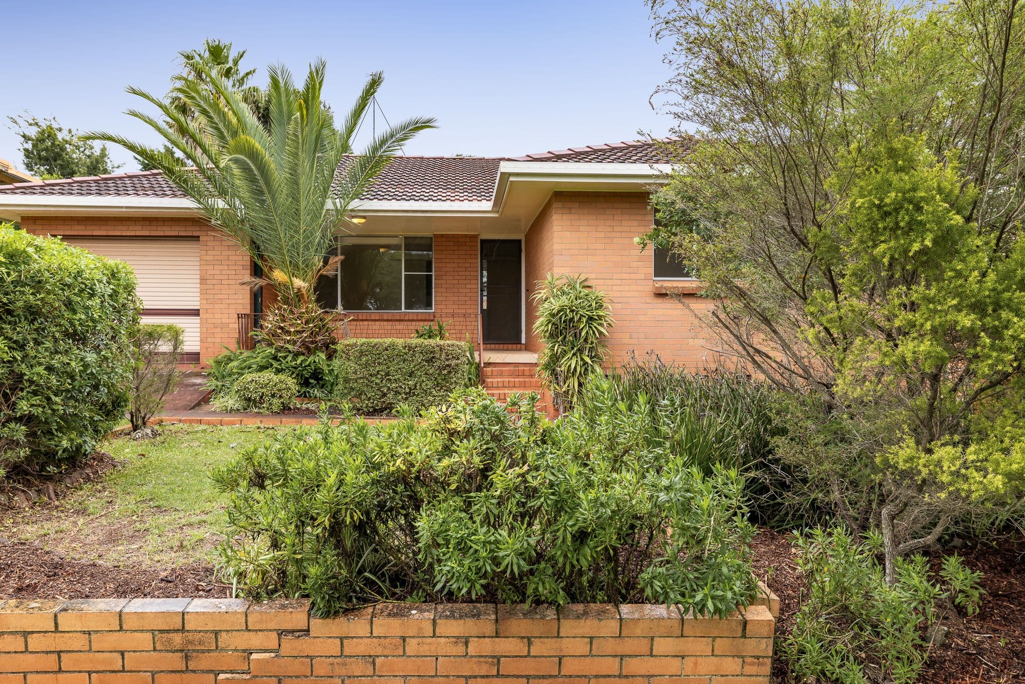 49 Debra Street, Centenary Heights QLD 4350, Centenary Heights - Thumbnail 3