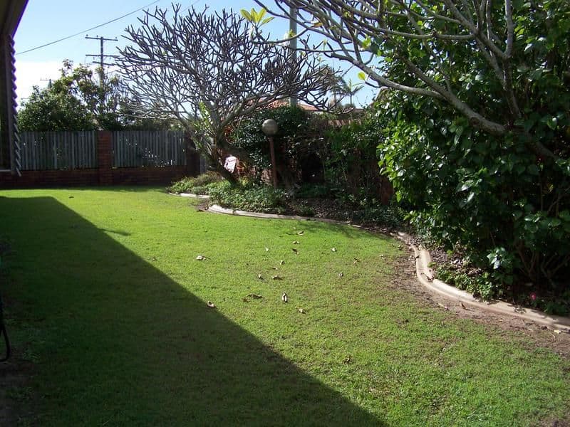 74 Lowanna Drive, BUDDINA QLD 4575, Buddina - Thumbnail 8
