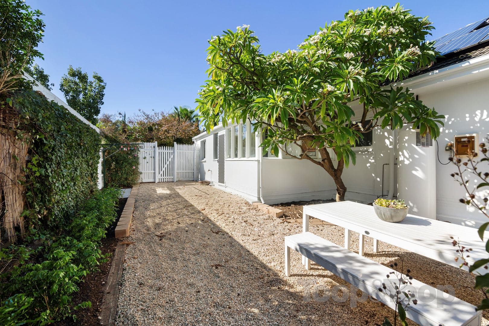 305 Kensington Road, Kensington Park SA 5068, Kensington Park - Thumbnail 5