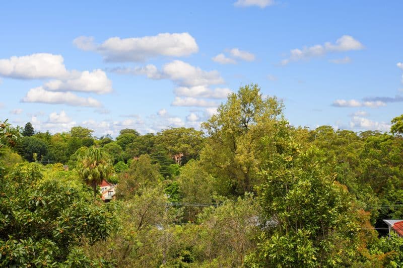 41 McIntyre Street, GORDON NSW 2072, Gordon - Thumbnail 5