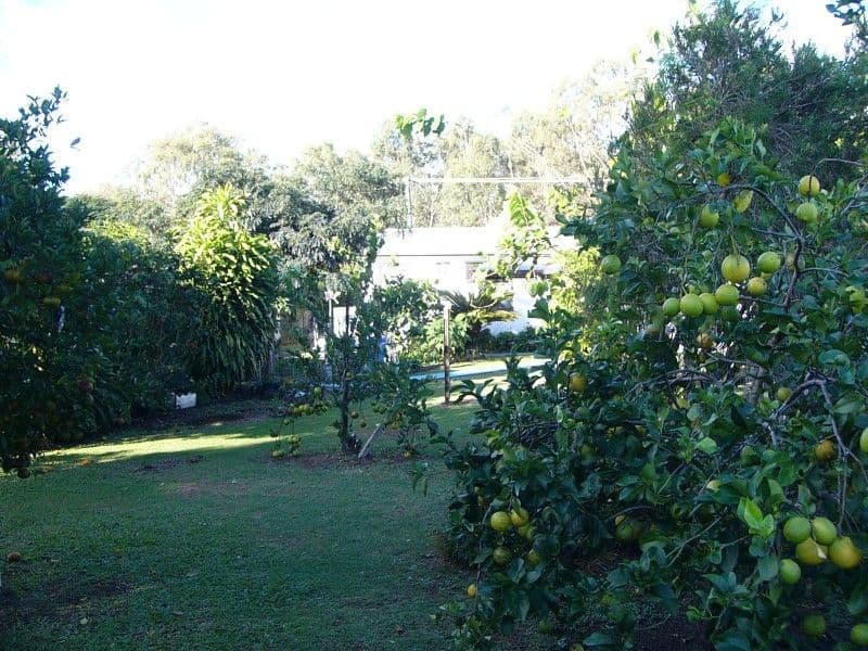 13 Bowen Street, AVONDALE QLD 4670, Avondale - Thumbnail 4