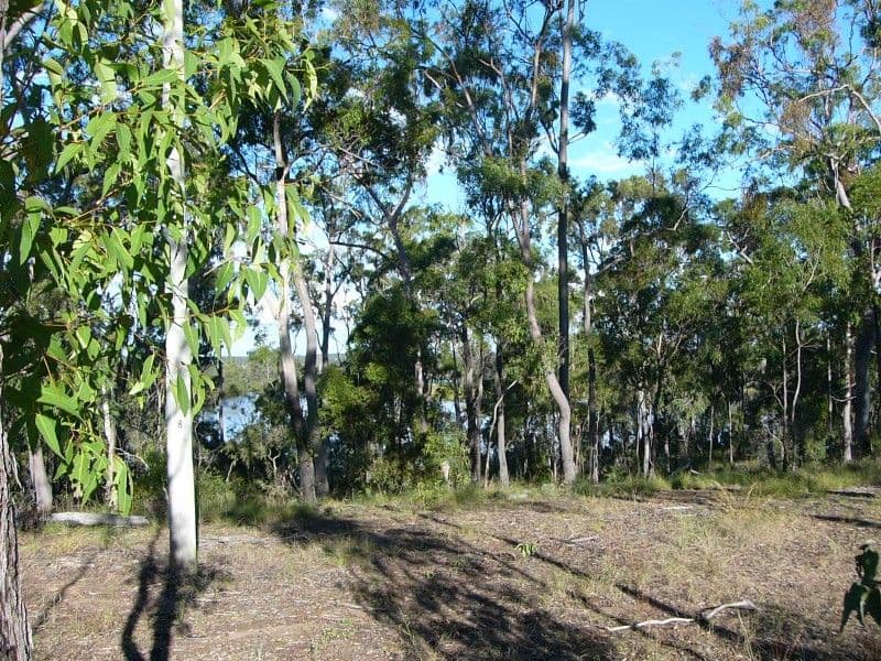 13 Bowen Street, AVONDALE QLD 4670, Avondale - Thumbnail 8