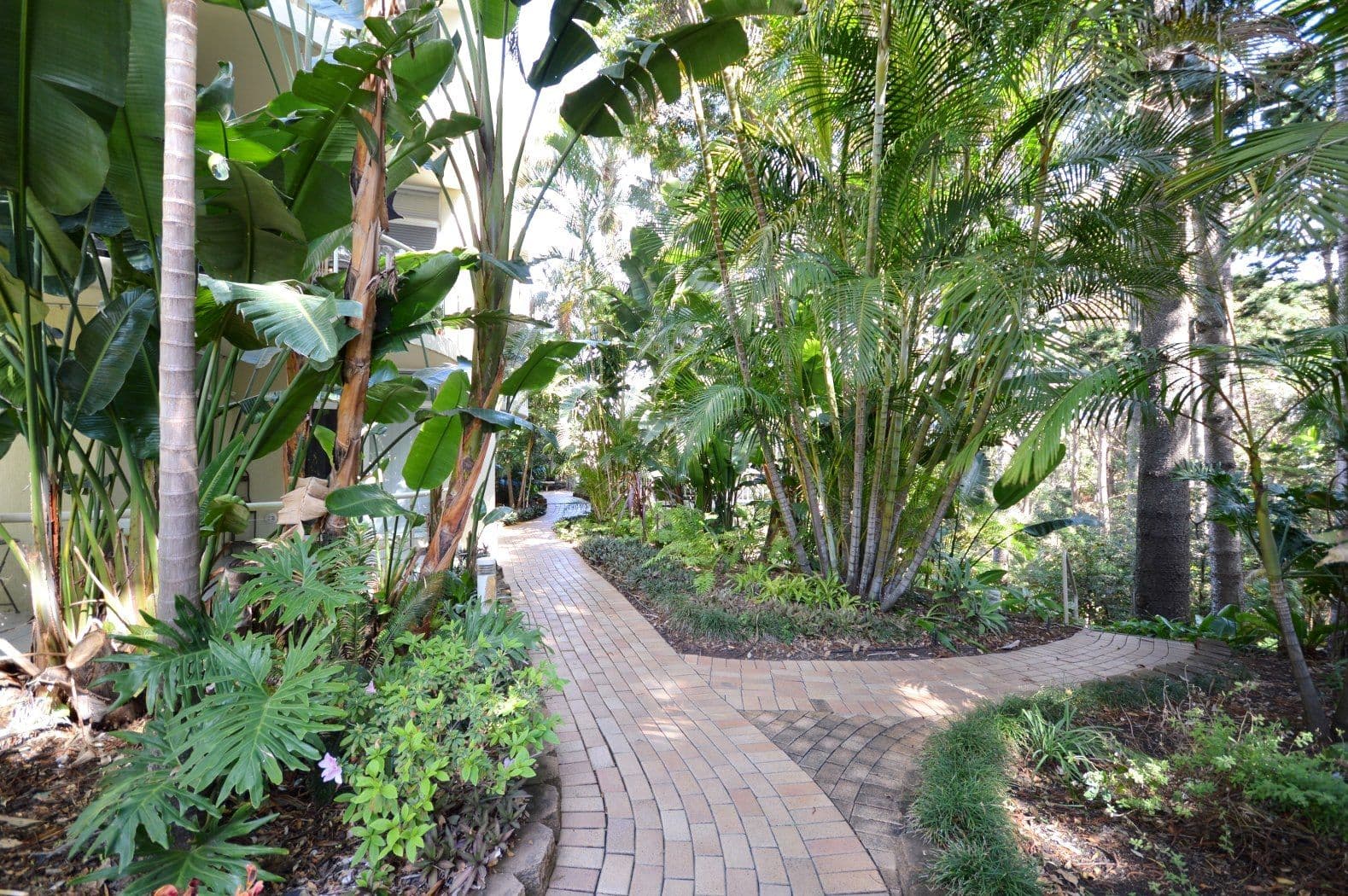 40 Solitary Islands Way, SAPPHIRE BEACH NSW 2450, Sapphire Beach - Thumbnail 2