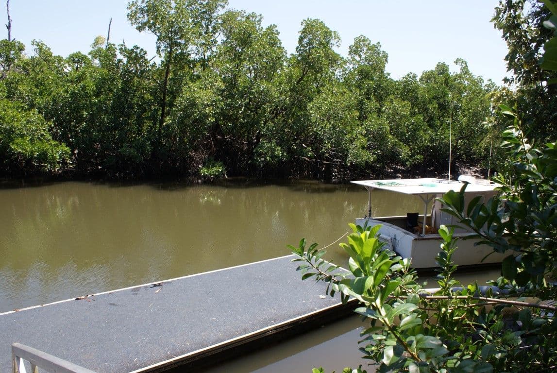 23 Heliconia Court, SOUTH MISSION QLD 4852, South Mission Beach - Thumbnail 3