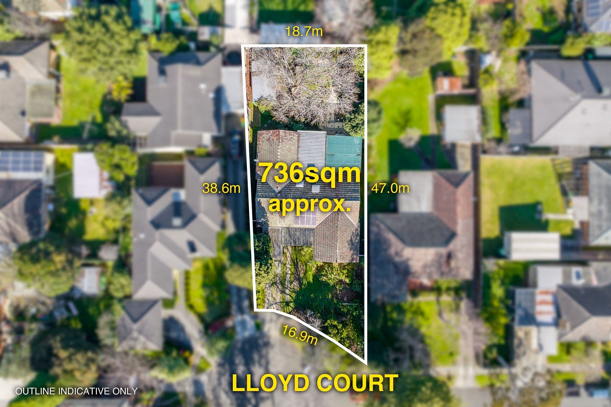 4 Lloyd Court, Blackburn South VIC 3130, Blackburn South - Thumbnail 4