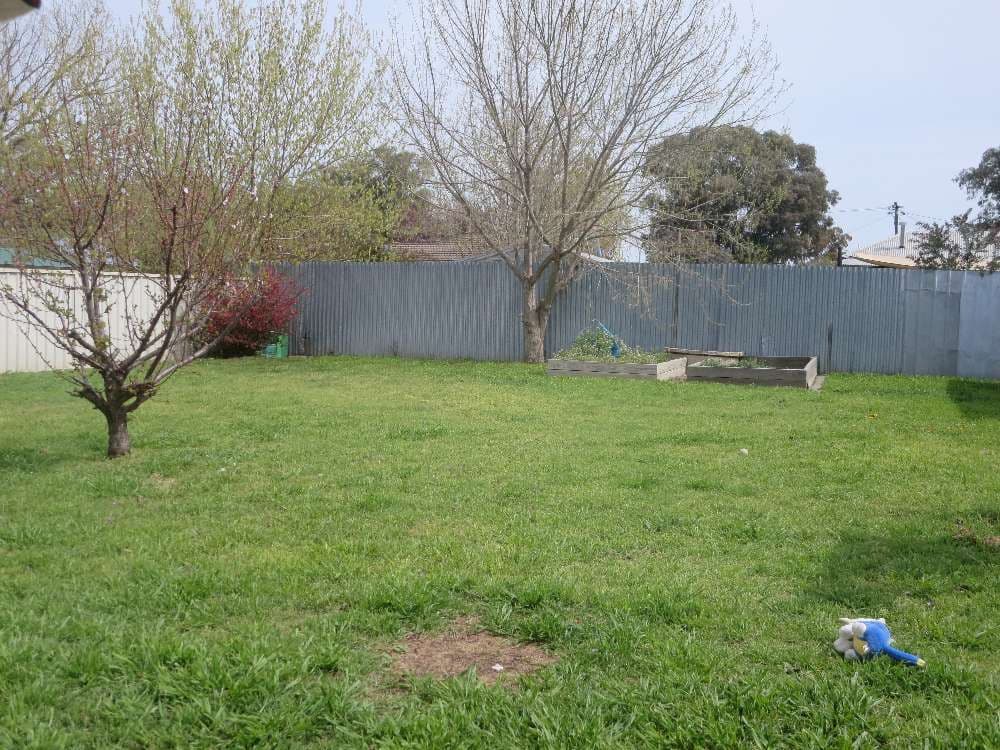 13 Bangalla Place, SPRINGDALE HEIGHTS NSW 2641, Springdale Heights - Thumbnail 3