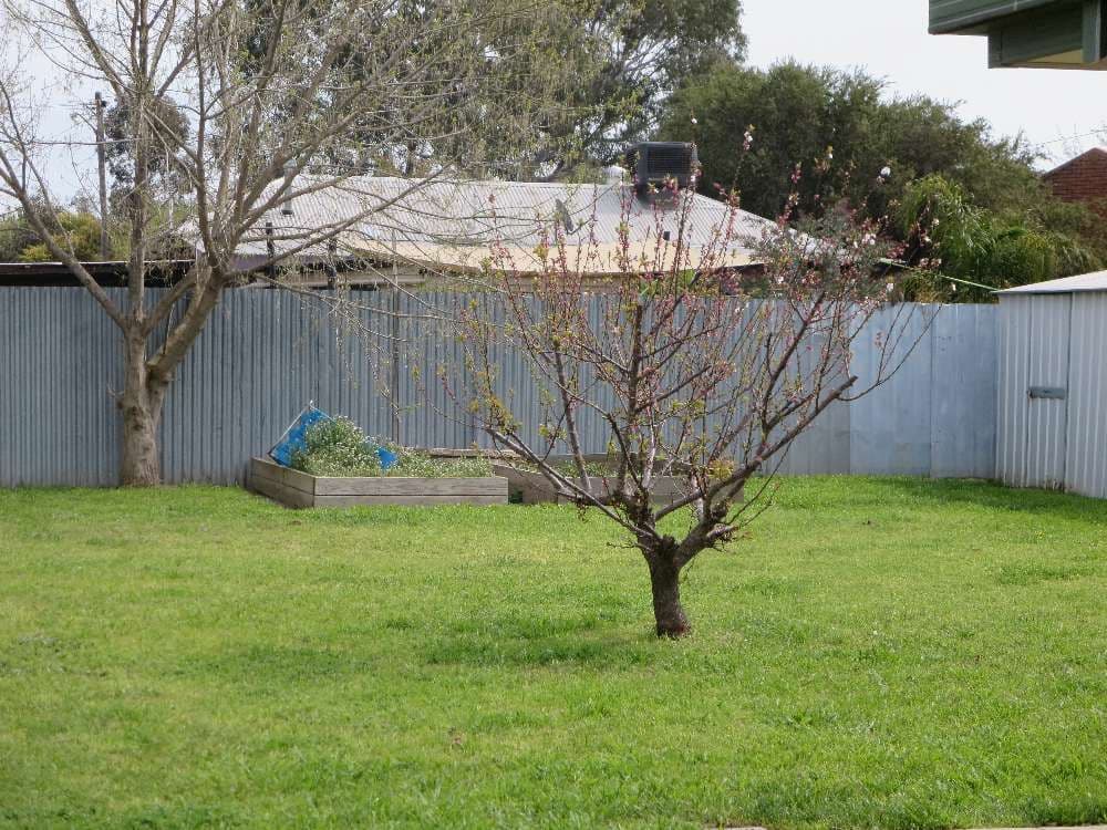 13 Bangalla Place, SPRINGDALE HEIGHTS NSW 2641, Springdale Heights - Thumbnail 4