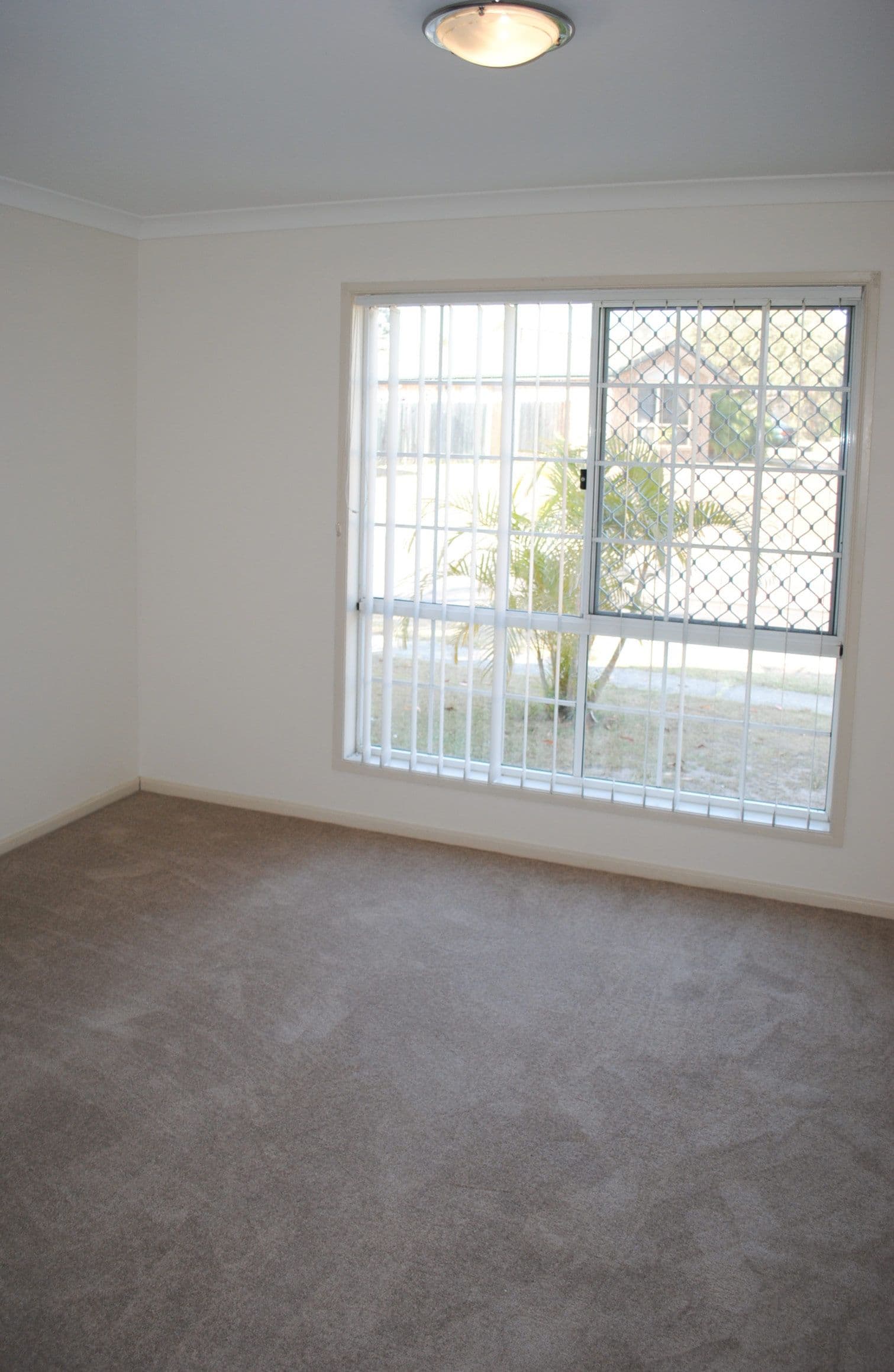 12 Macleay Crescent, TINGALPA QLD 4173, Tingalpa - Thumbnail 8