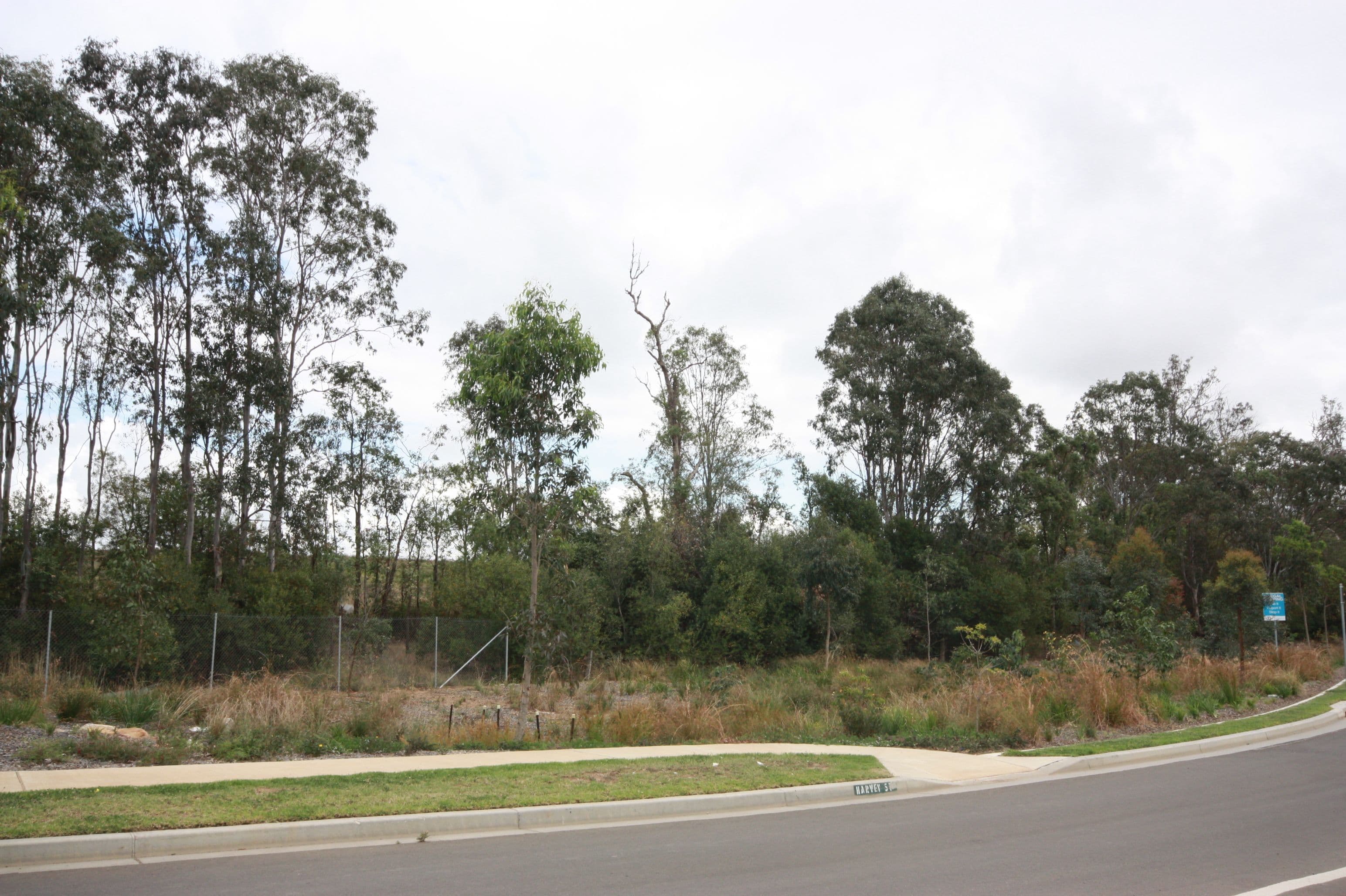 26 Harvey Street, Oran Park NSW 2570, Oran Park - Thumbnail 4